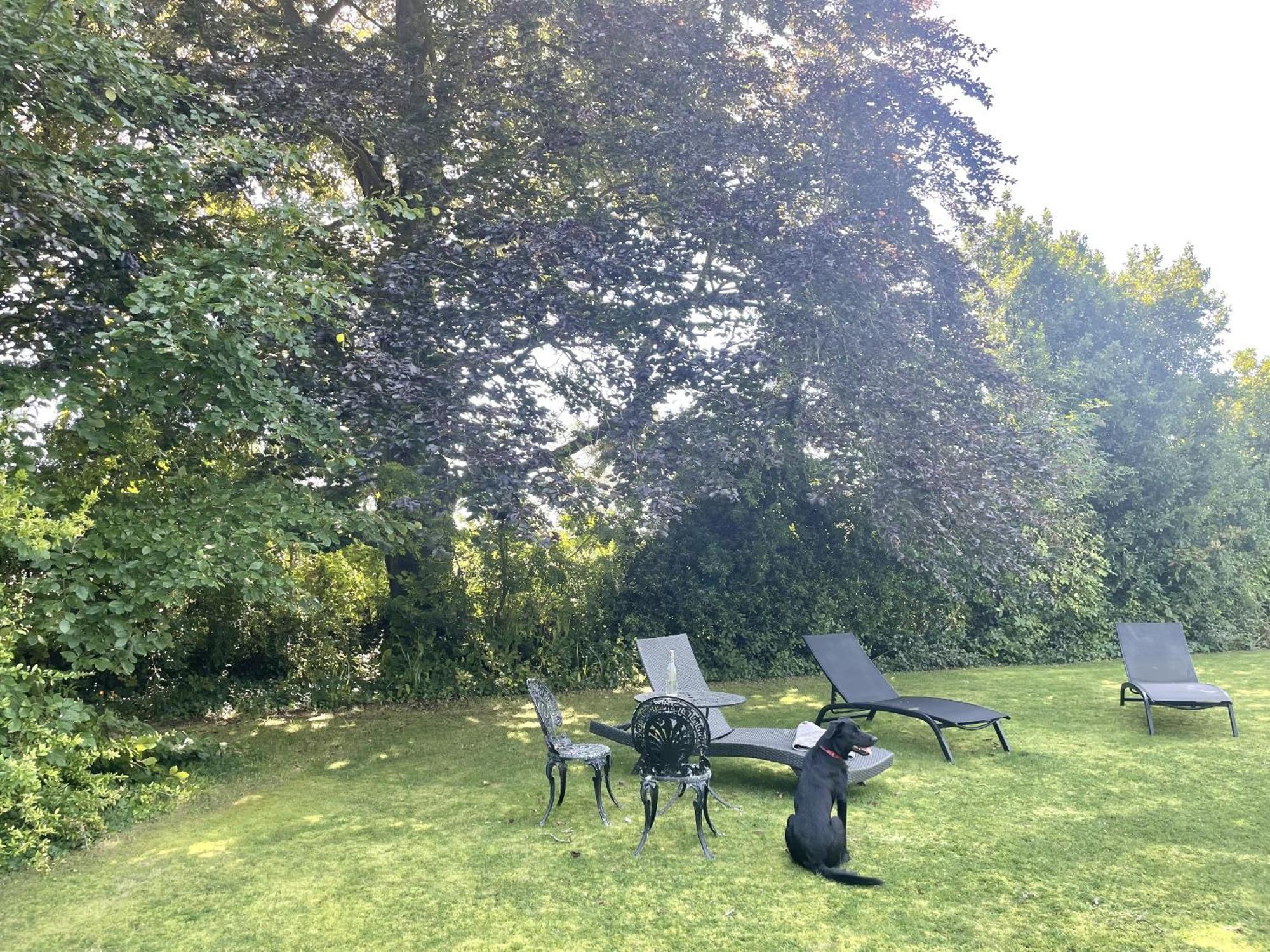 The Mount Somerton Retreat - Nr Bruton, Glastonbury, The Spectacular Wells Cathedral, Millfield School, Leonardo Helicopters, Yeovilton Exterior foto